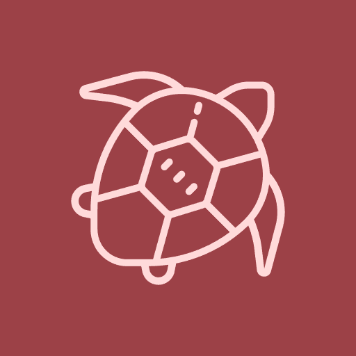Turtlecast icon